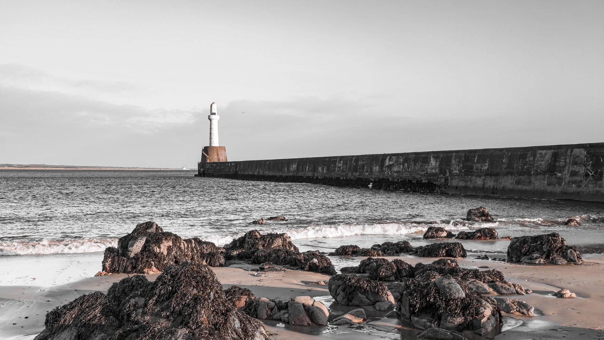 Personal Trainer Courses In Aberdeen