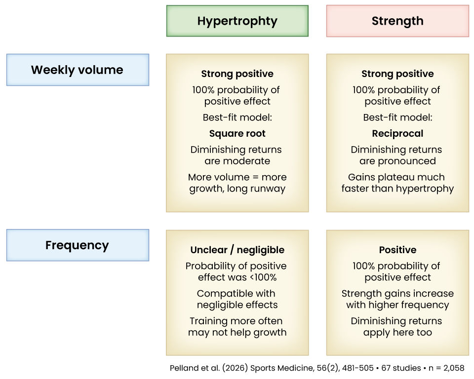 Discover How to Best Programme Your Set Volume and Training Frequency on the TRAINFITNESS Blog