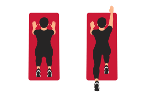 Bird dog: start and end positions