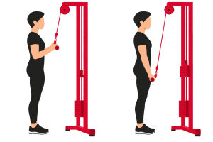 Cable triceps pushdown: start and end positions