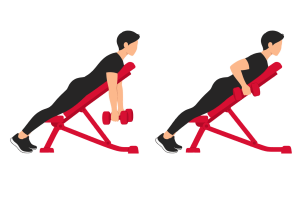 Chest-supported dumbbell row: start and end positions