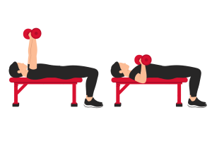 Dumbbell bench press: start and end positions