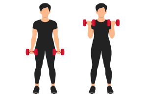 Dumbbell biceps curl: start and end positions