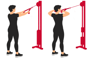 Face pull: start and end positions