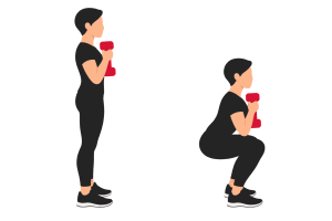 Goblet squat: start and end positions