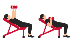 Incline dumbbell press: start and end positions