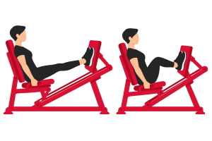 Leg press: start and end positions