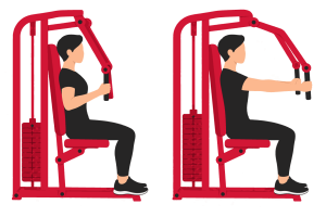 Machine chest press: start and end positions