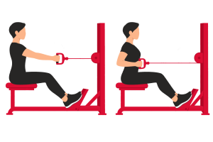 Seated cable row: start and end positions