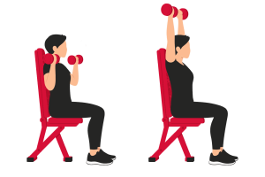 Seated dumbbell shoulder press: start and end positions