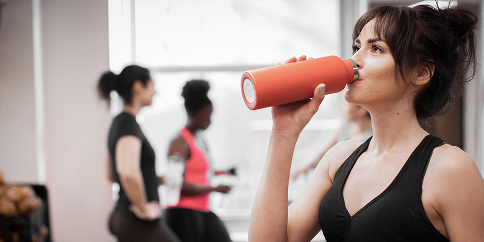 Learn the Science of Nutrition and Exercise with a Specialist or Master Diploma from TRAINFITNESS