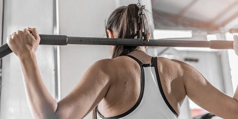 Discover how Body Type does or does not impact Muscle Gains the TRAINFITNESS Blog