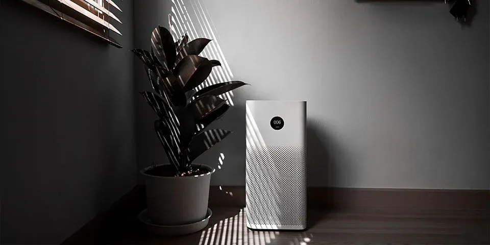 Discover the Relation Between Pollution and Health, and Reveal How Exercise Can Help on the TRAINFITNESS Blog