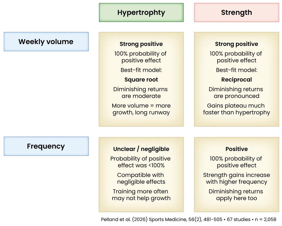 Discover How to Best Programme Your Set Volume and Training Frequency on the TRAINFITNESS Blog
