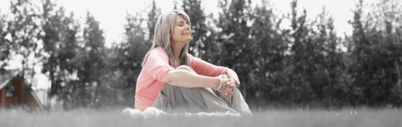Supporting Perimenopausal Clients with Meditative Movement and Biobehavioural Models