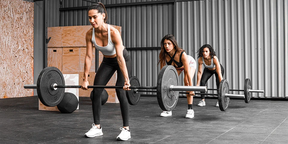 Gain the Neuromuscular Edge with a TRAINFITNESS Specialist or Master Diploma