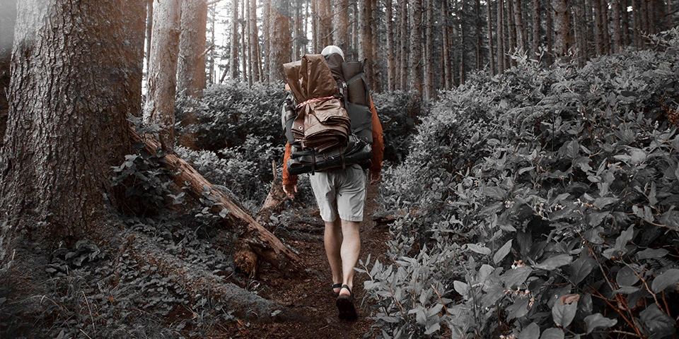 Take your clients outdoors and get qualified in Outdoor Fitness Training with TRAINFITNESS