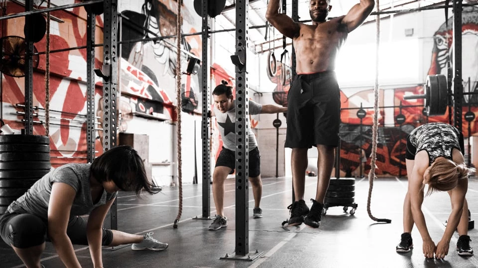 Designing the perfect circuit training workout